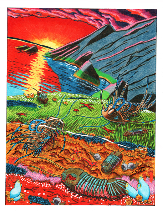 Dicranurus and Paralejurus